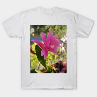 Christmas Cactus T-Shirt